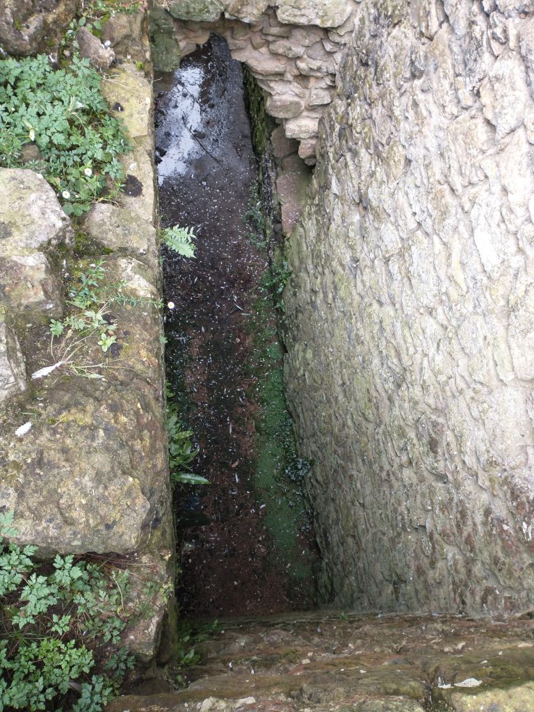 Sanitation at Rievaulx Abbey